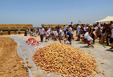 צילום: זיו קורן yk14392111