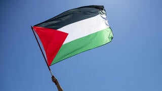  משט לשבירת מצור ברצועת עזה מדלין