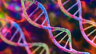 DNA