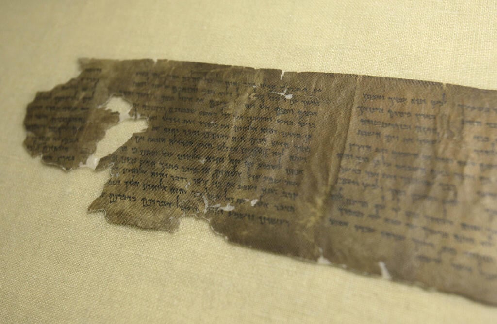 אחד השרידים ממגילות מדבר יהודה (צילום: Seth Wenig / AP) שרידי מגילות מדבר יהודה
