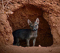 צילום: יונתן סיקולר yk14396718