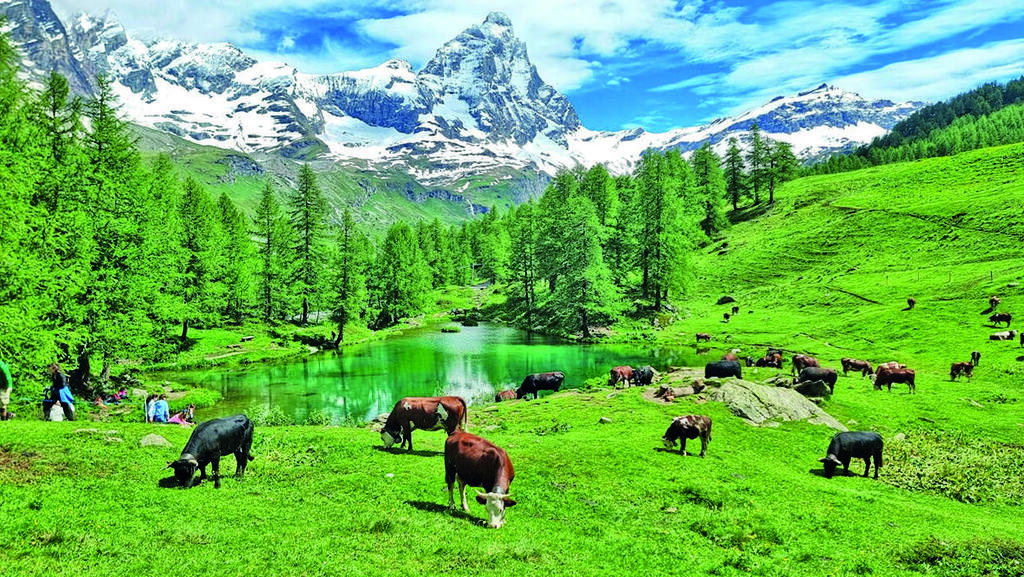 אלפג׳יו מול פסגת המטרהורן, מעל האגם הכחול ) Lago blu ( צילום: דניה רוסו טקגי