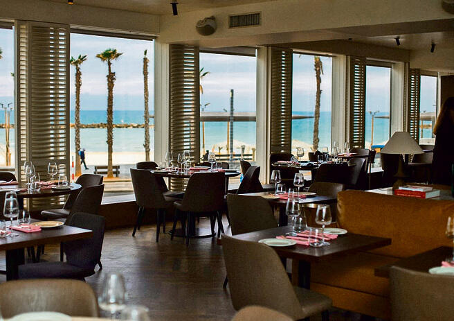 צילום: ויקה פלסקוב yk14392665