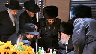 האדמו
