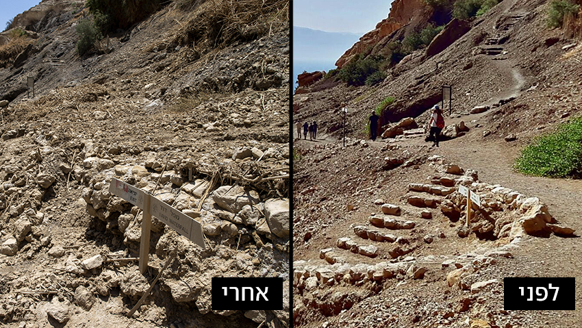 מסלול הליכה בנחל דוד לפני השיטפון ואחריו (צילום: עמית שאבי, יניב כהן, רשות הטבע והגנים) מסלול הליכה בנחל דוד לפני השיטפון ואחריו