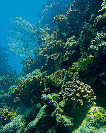 צילום: תהל בלומנפלד yk14376587