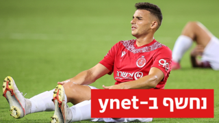 גרופר