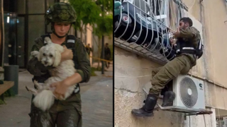 חילוץ חתולים וכלבים מבניינים שנפגעו, בבני ברק ובתל אביב
