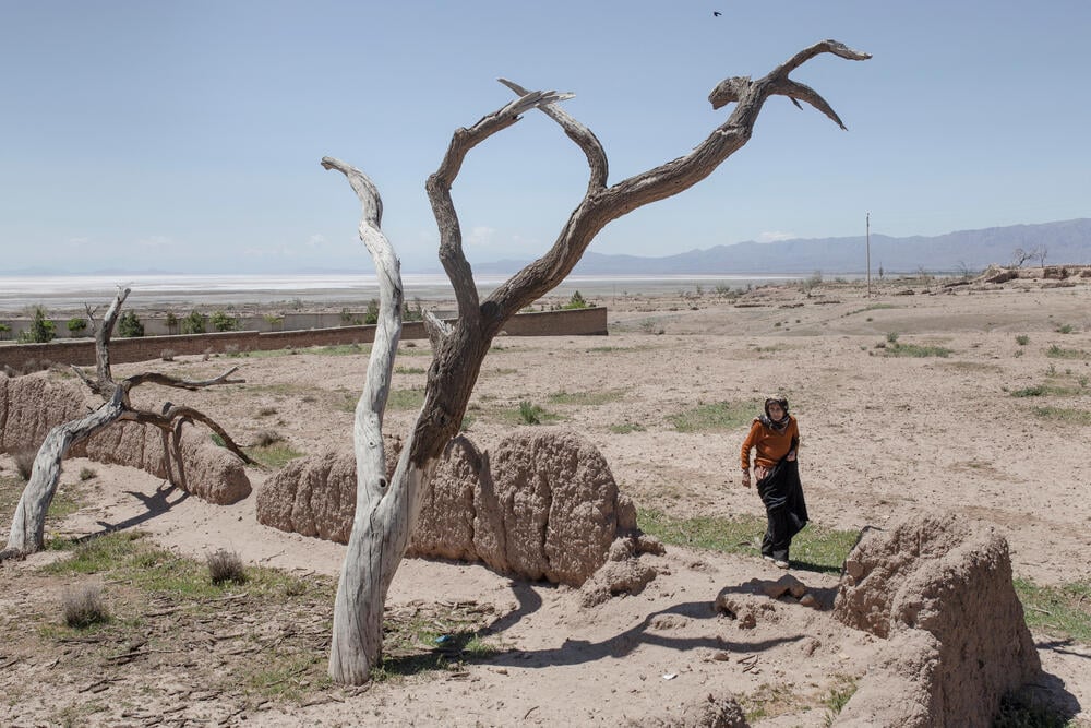 A woman walks past dead almond trees in a drought-stricken area of Iran, where prolonged water shortages have devastated agriculture (Photo: Solmaz Daryani/Shutterstock) עצי שקד שהתייבשו כתוצאה מהבצורת באיראן