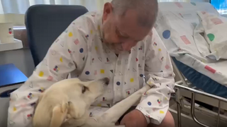 חנן זיגלבויים והכלבה שלווה בבית החולים