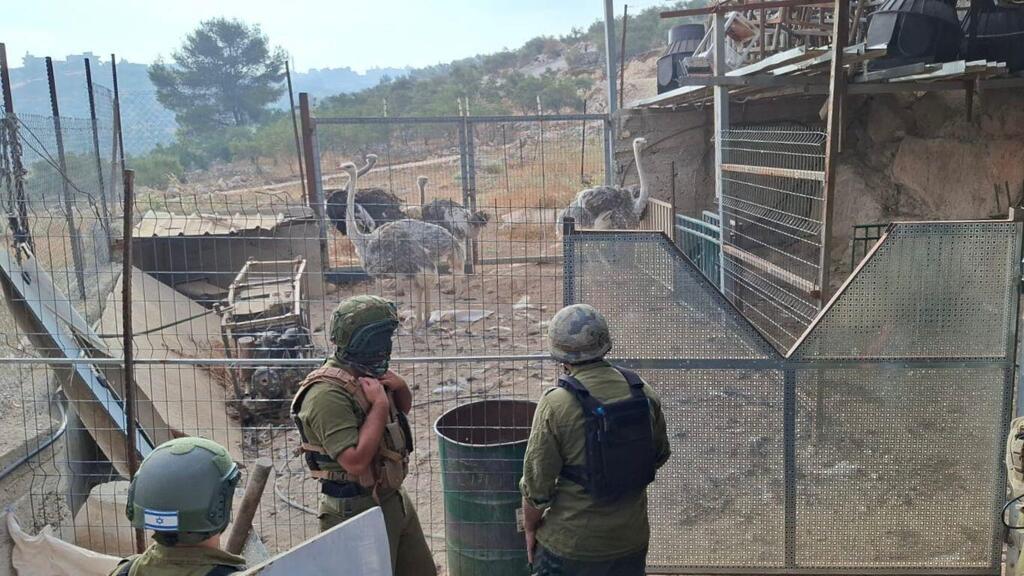 לוחמי צה"ל ליד כלוב עם יענים (צילום: דובר צה"ל) לוחמי צה"ל ליד כלוב עם יענים