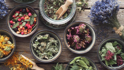 Israelis are turning back to herbal remedies: Here are 5 medicinal herbs you need to know