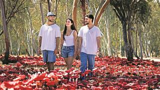 מיה רגב איתי רגב עומר שם טוב שם-טוב