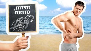 מדוזה, מדוזות