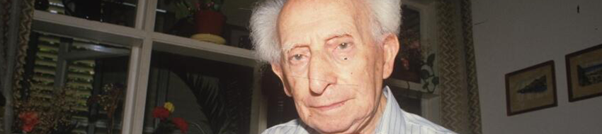 לוין קיפניס סופר משורר סטריפ