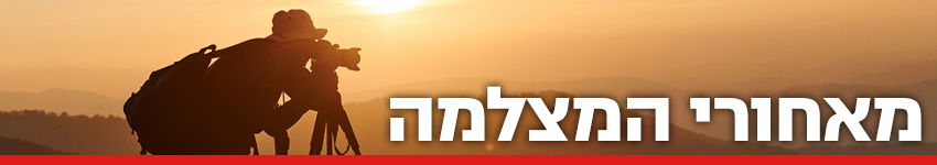צילום: shutterstock