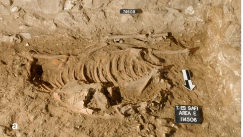 Experts find ancient donkey sacrifices in Israel