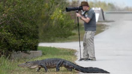 גיא וילסון וחבר במהלך צילומי טבע