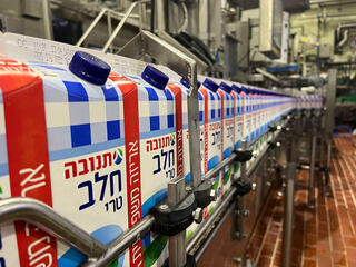 קרטוני חלב של תנובה במפעל ברחובות