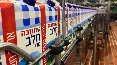 תנובה תשווק קרטוני 2 ליטר של חלב מפוקח