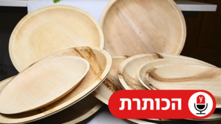 כלים חד פעמיים מתכלים