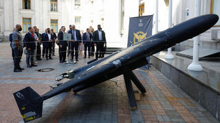  שר החוץ גדעון סער עם שר החוץ האוקראיני אנדרי סיביהה, בקייב