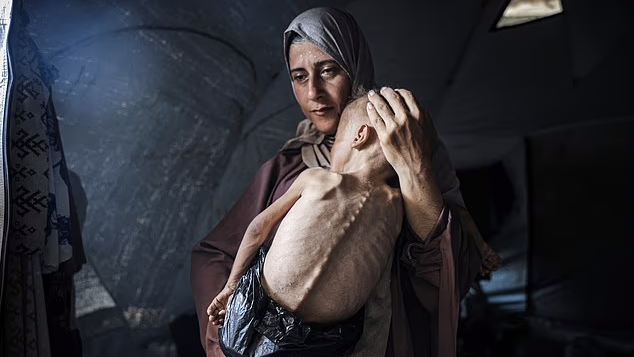 מוחמד זכריה איוב אל-מעתוק