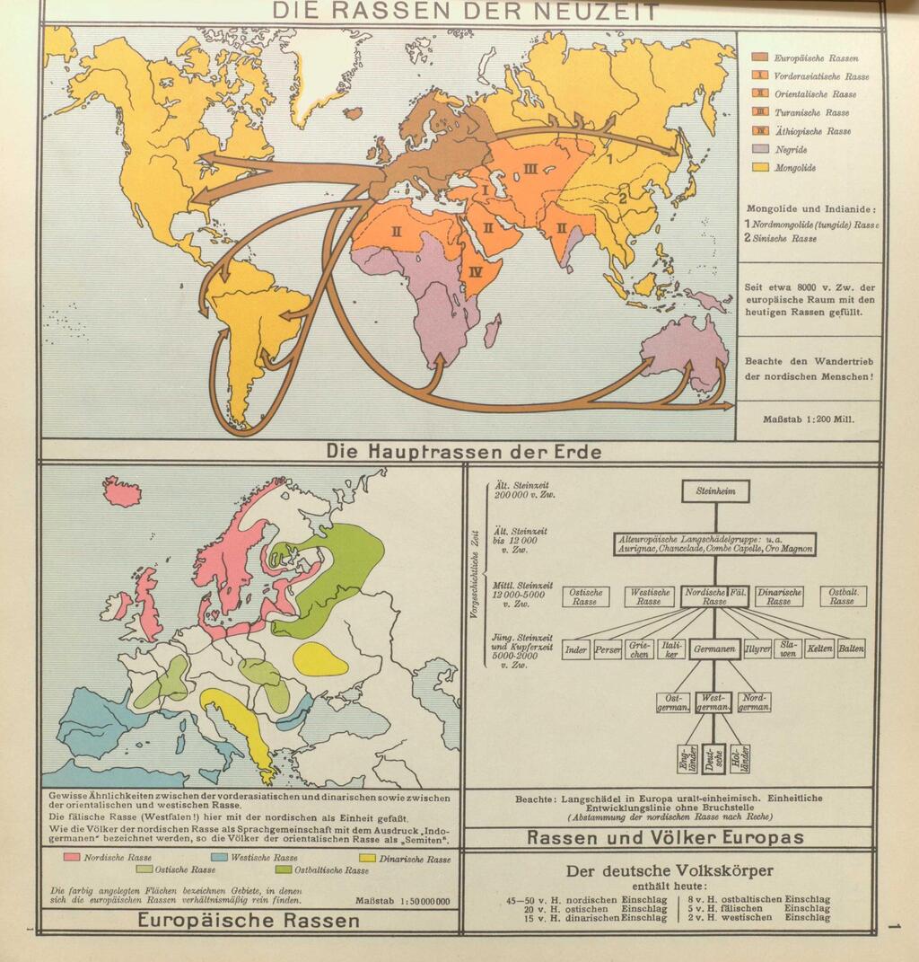Infographic depicting 'racial' migration in 1938 atlas Werden und Wachsen תרשים שמציג את נדידת "הגזעים", מתוך האטלס Werden und Wachsen משנת 1938