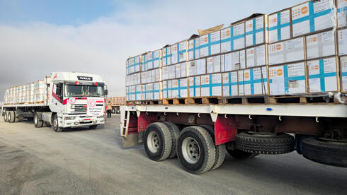100,000 aid trucks and counting: Israeli official reveals scope of massive Gaza...