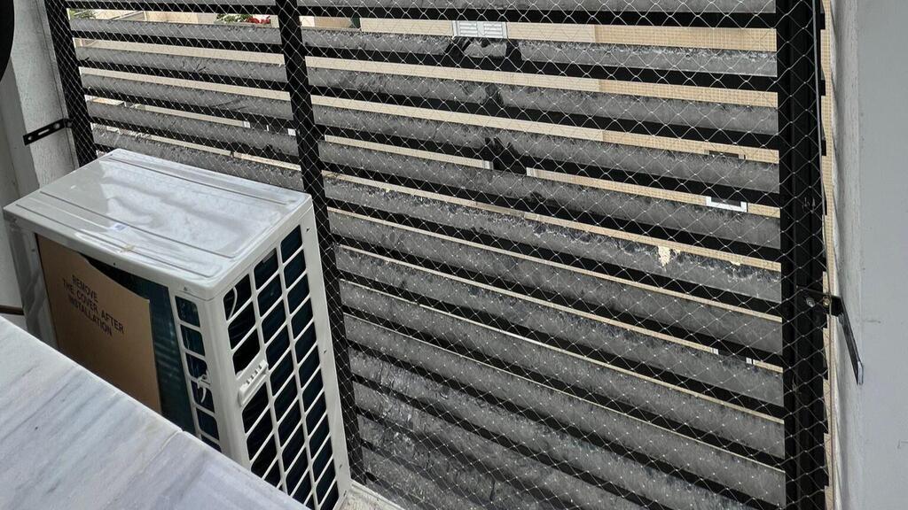 לכלוך מיונים