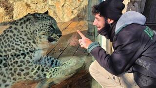 אוריאל נורי אוריאל נורי