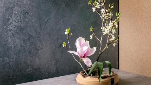 Less is more: the Japanese art of flower arranging finding new roots in Israel