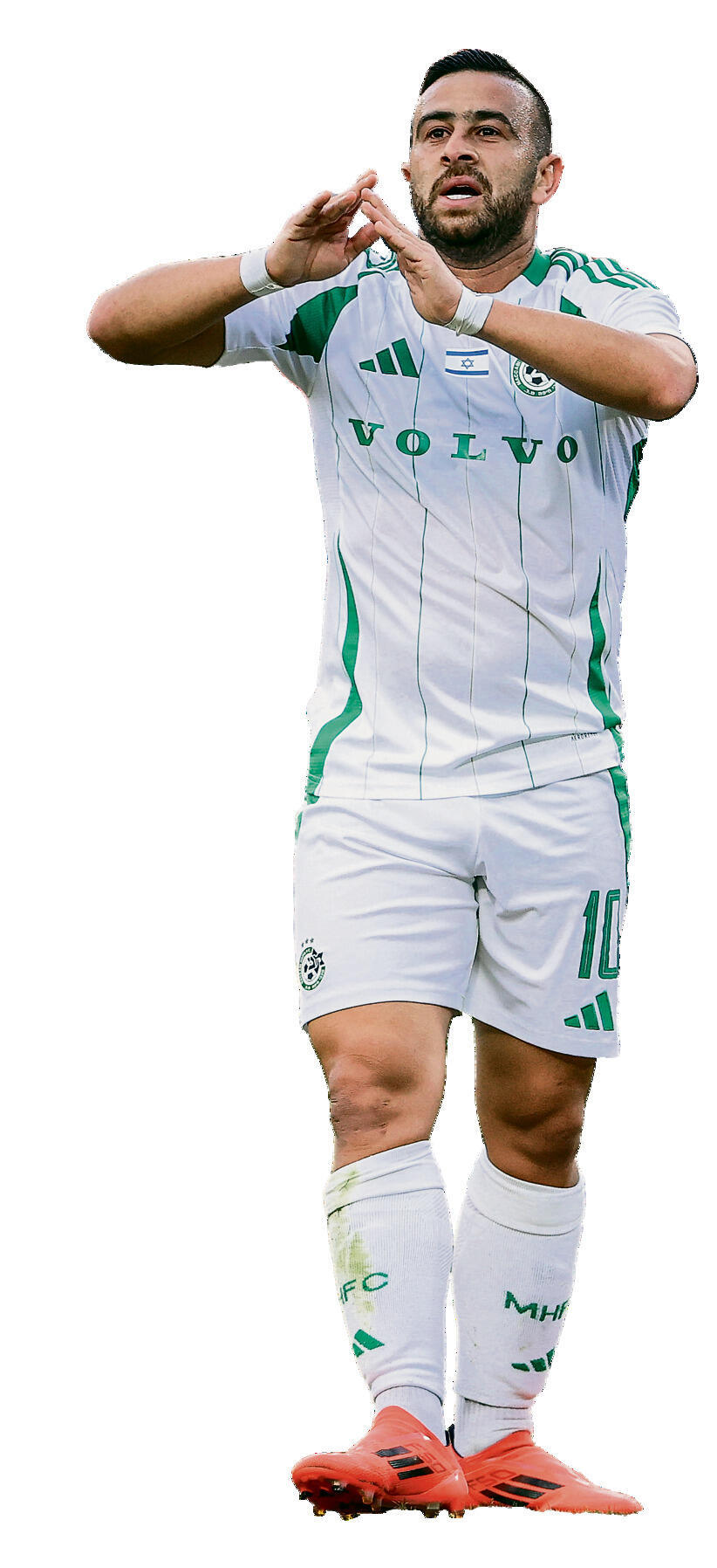 סבע | צילום: עוז מועלם yk14462625