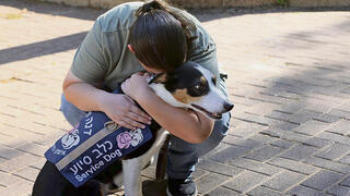 אלה והכלבה ואלי yk14464171