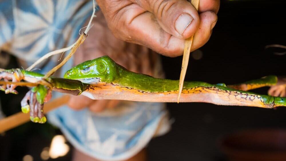 גירוד הרעלן ששמים על העור