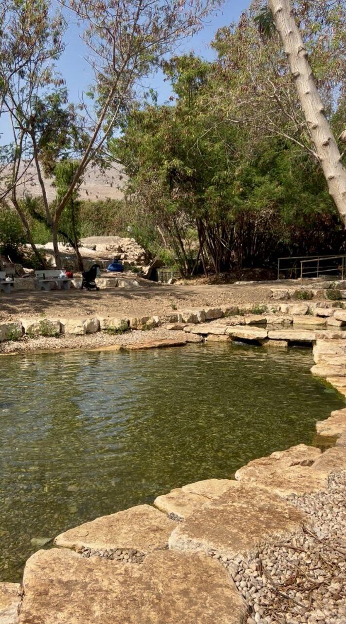 Shallow pools suitable for children (Photo: Courtesy of Hen Yosef) עין שוקק