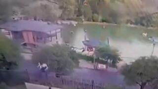 רוסיה רכבל התרסק ל אגם