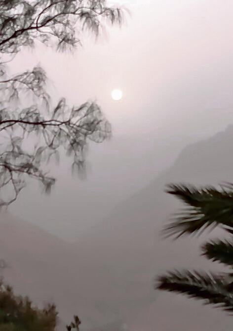 אין ראות. עין־גדי | צילום: אריה סאמרלי yk14472986