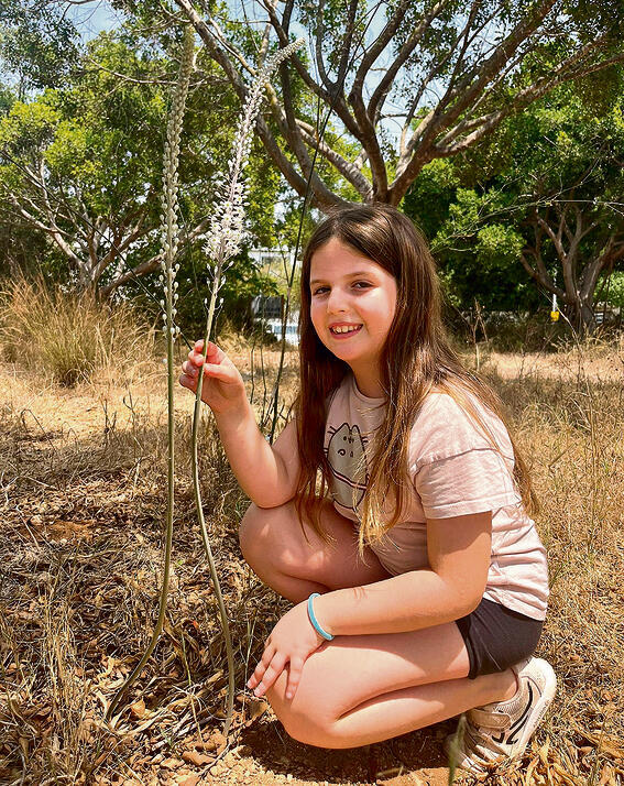 צילום: יעל זילברשטיין ברזידה, החברה להגנת הטבע yk14473109