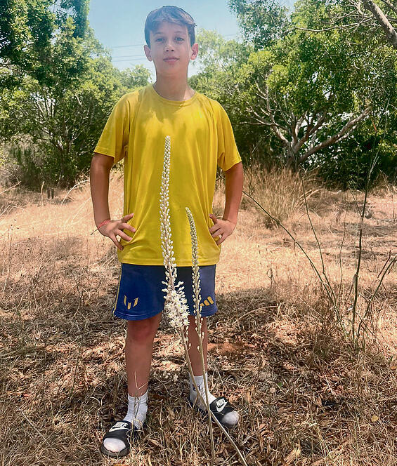 צילום: יעל זילברשטיין ברזידה, החברה להגנת הטבע yk14473111