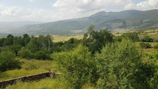 כפר עין פית המקום בו יקים צה