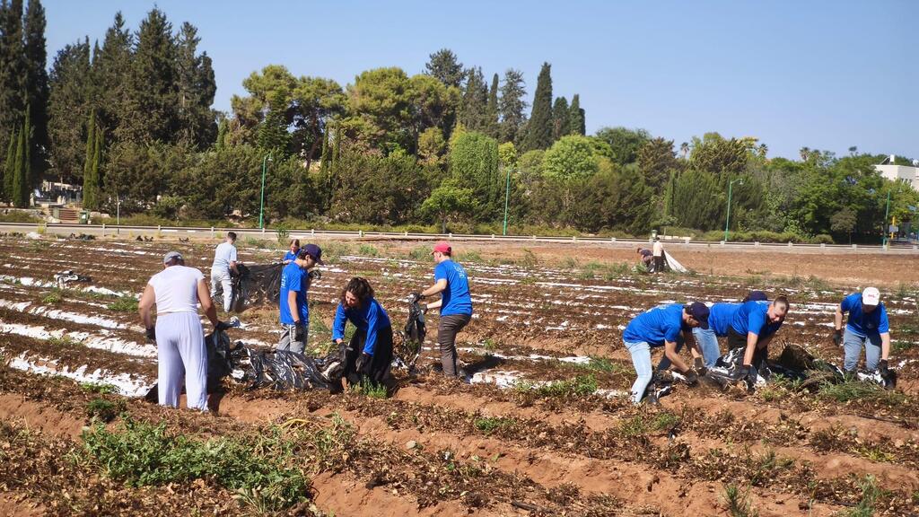 Campers like to volunteer (Photo: Fourtesy of the Koby Mandell Foundation) יתומים ויתומות מתנדבים בחקלאות במסגרת ה קייטנה