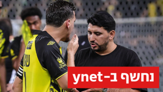 ירדן שועה ואלמוג כהן