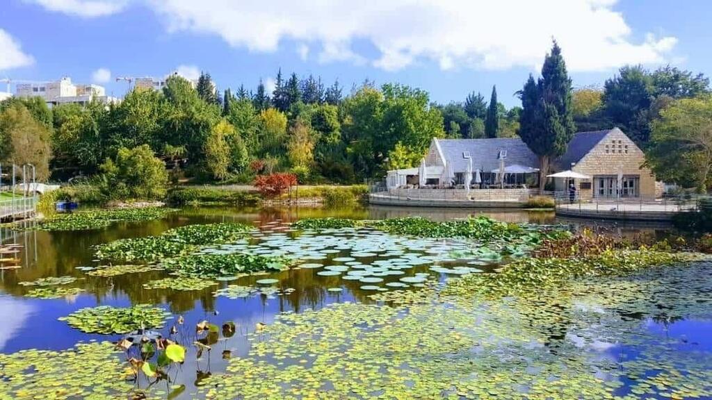 הגן הבוטני האוניברסיטאי בגבעת רם