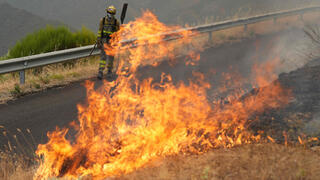 שריפה שריפת יער קסטיליה וליאון ספרד