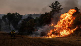 לוחמי לוחמים כבאי כבאים ספרד גליציה לוגו סן מרטינו שריפה שריפות יער משבר שינוי האקלים גל מכת חום מאמצי הכיבוי אירופה