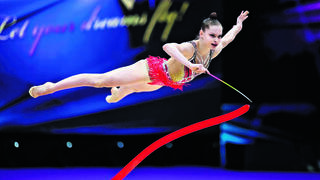 מיטל סומקין