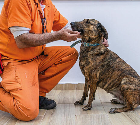 זינה בבית הכלא | צילום: תנו לחיות לחיות yk14482009