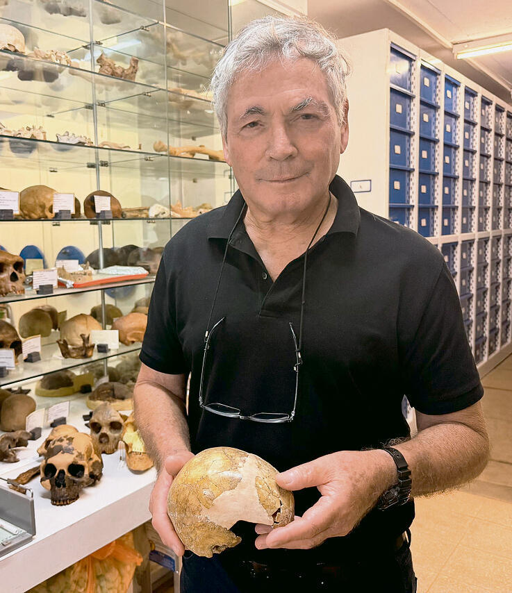 פרופ' ישראל הרשקוביץ עם הגולגולת שנמצאה | צילום: אונ' ת"א yk14482448