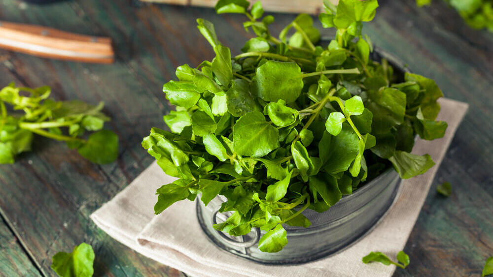 גרגר הנחלים